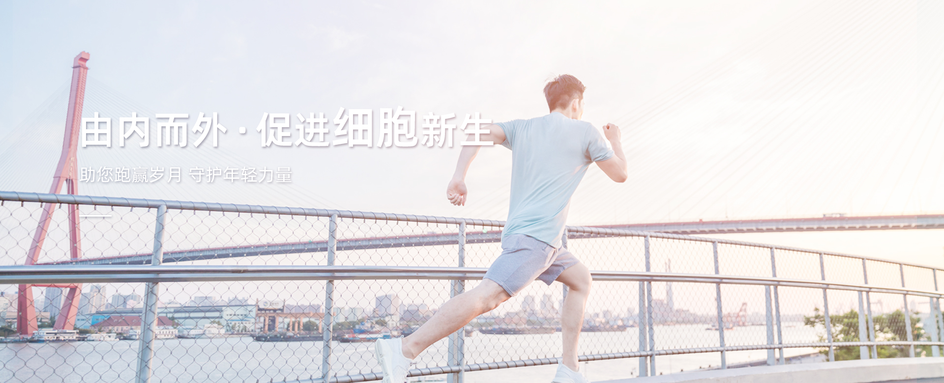 吉卡干細胞-有內而，促進細胞新生